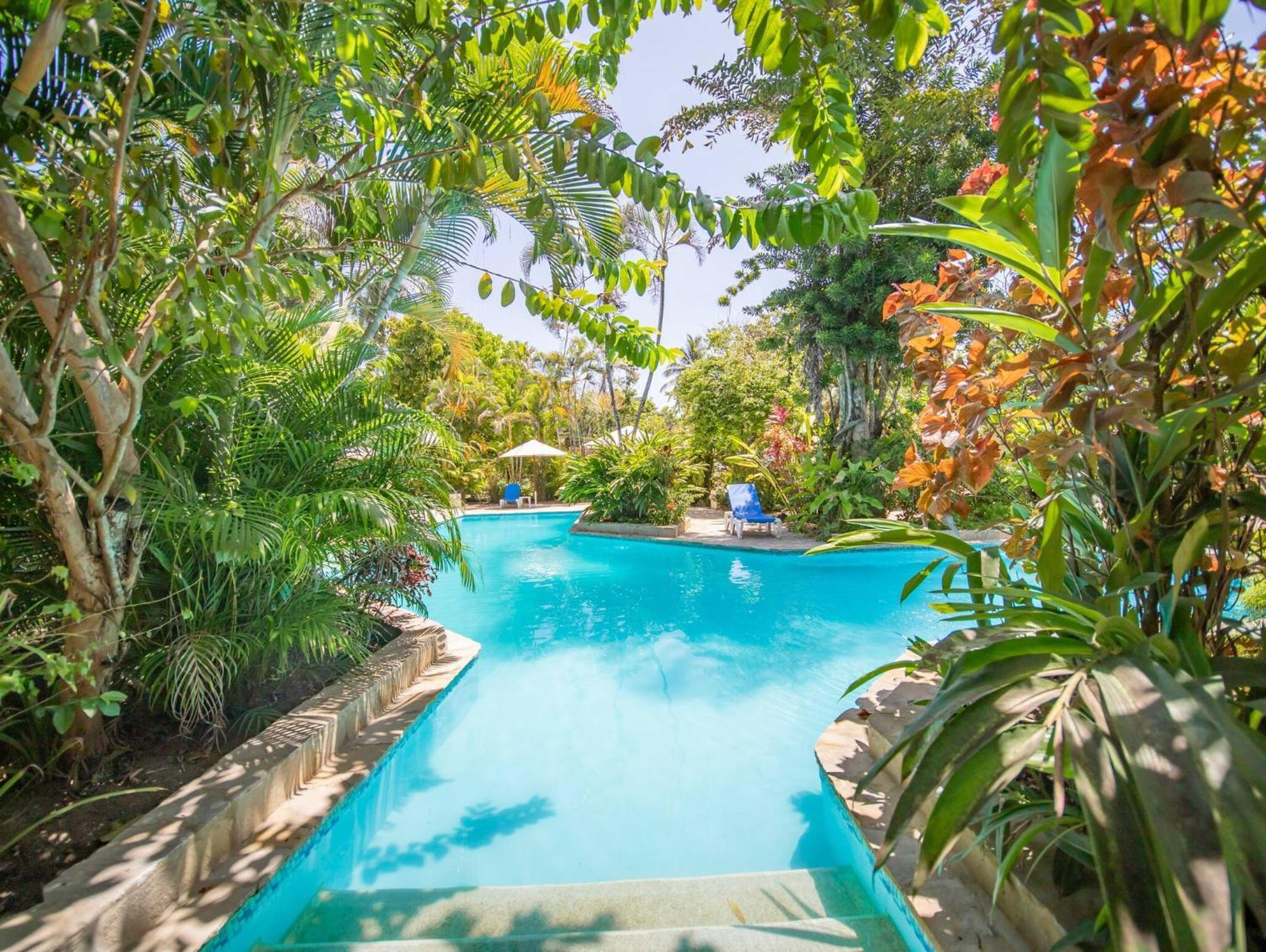 Room In Guest Room - 2Br Caribbean Condo In Cabarete Center Экстерьер фото